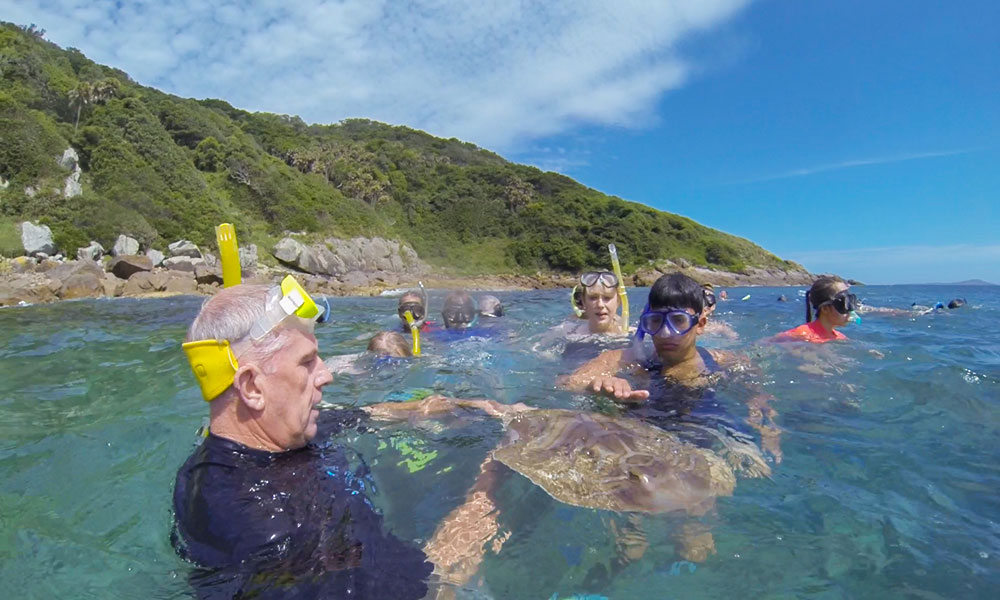 Marine Discovery Cruise with Snorkelling