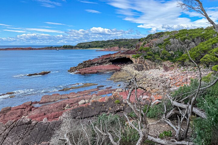 Light to Light Walk, Pack-Free, 2 Nights – Far South Coast NSW