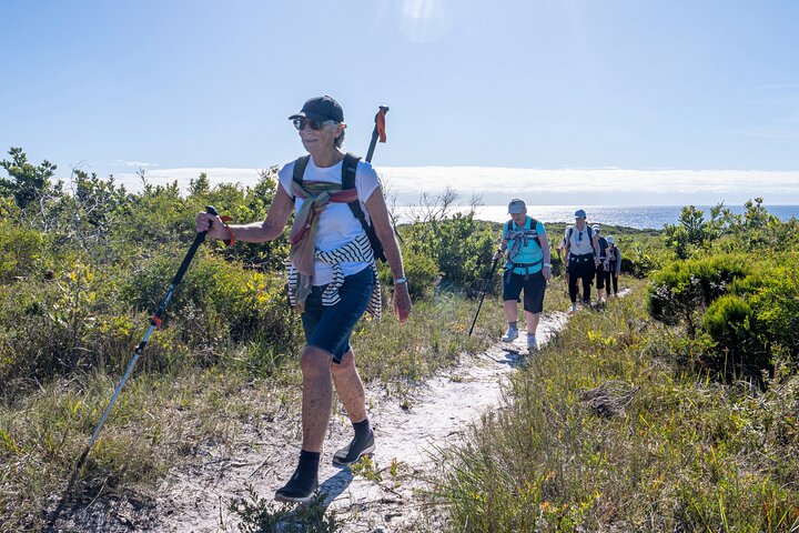 Light to Light Walk, Pack-Free, 2 Nights – Far South Coast NSW