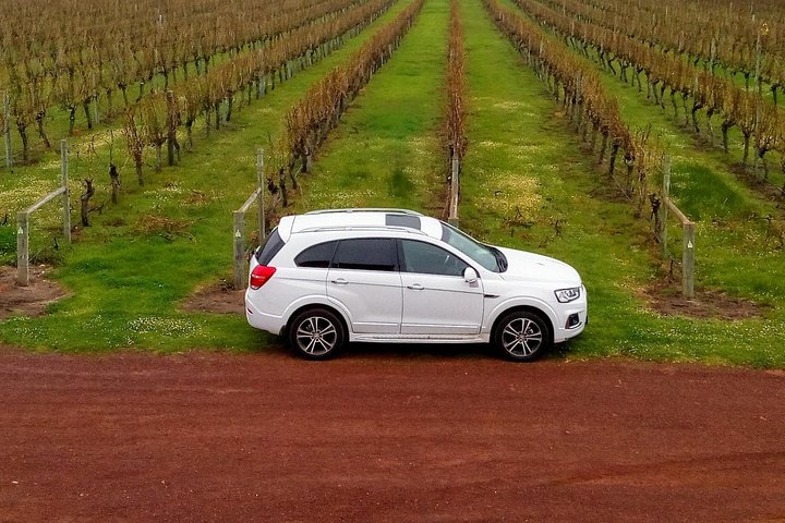 Margaret River Wine Tasting Tour on a Budget for Small Private Groups