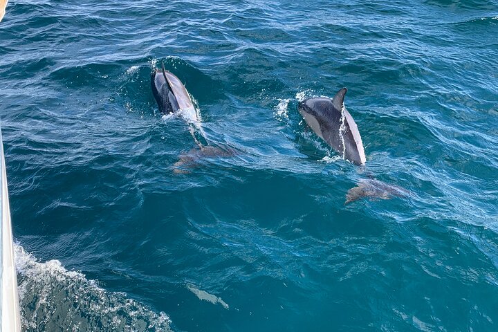 2 Hours Midday or Sunset Cruise with Getaway Sailing on the Gold Coast