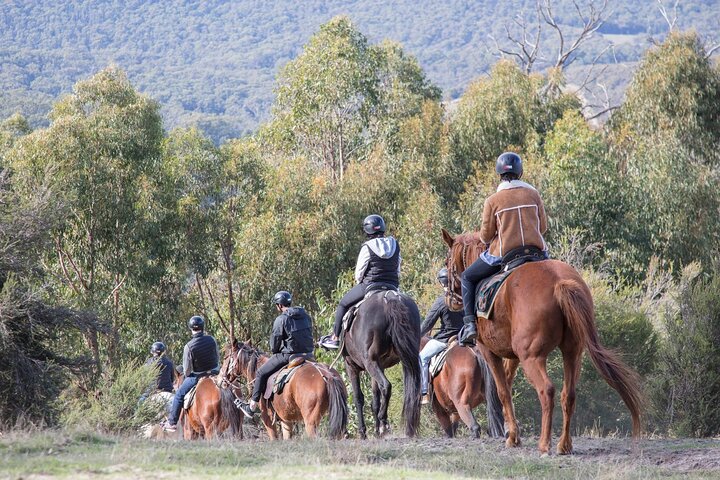 Yarra Valley Horse Trail & Wine Tour with Lunch
