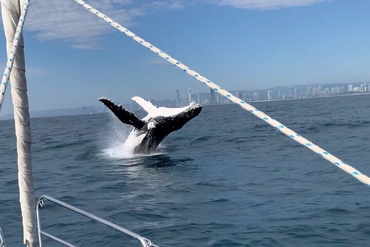 2 Hours Midday or Sunset Cruise with Getaway Sailing on the Gold Coast