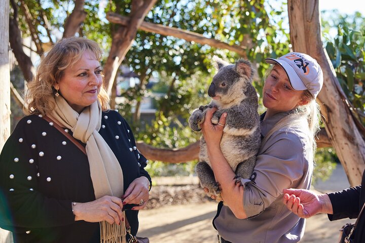 Blue Mountains Small-Group Tour from Sydney with Scenic World,Sydney Zoo & Ferry