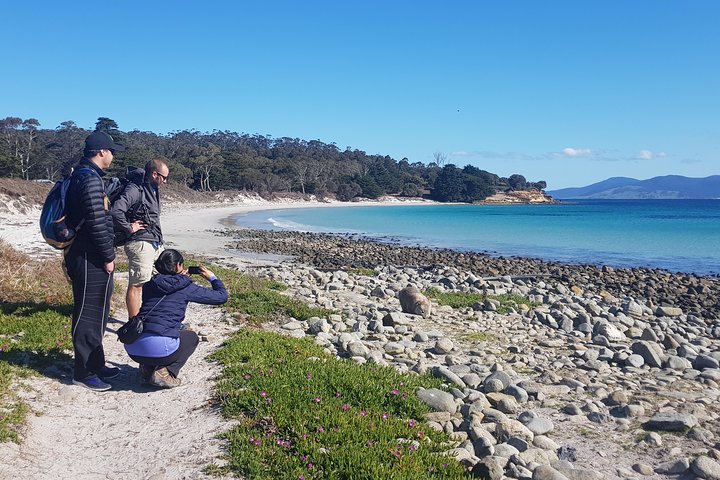 Private: Maria Island Tour from Hobart