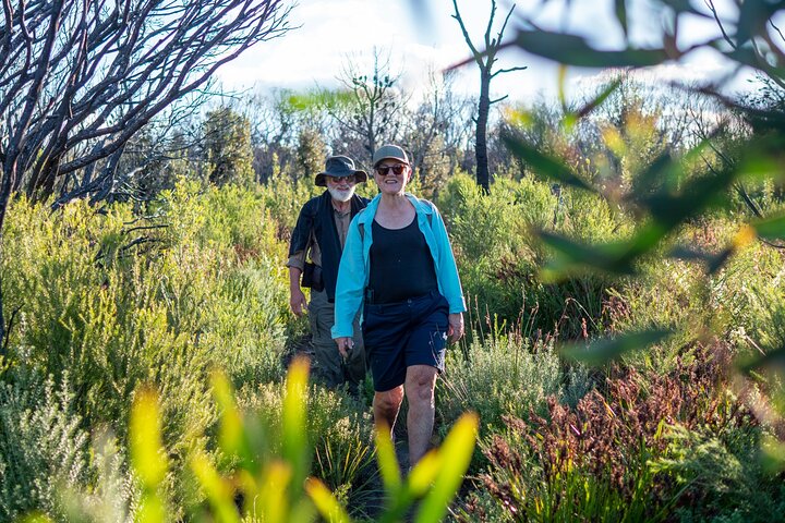 Light to Light Walk, Pack-Free, 2 Nights – Far South Coast NSW