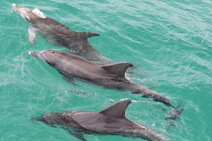 Jervis Bay Hidden Secrets Cruise