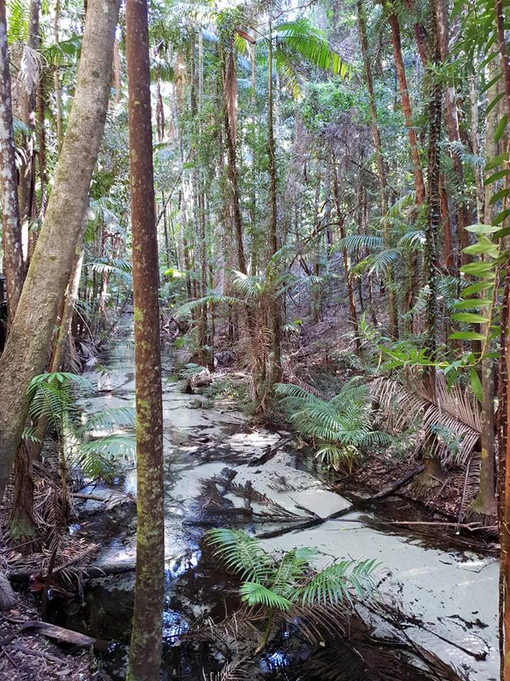 Fraser Island 5 Day Great Walk Adventure tour