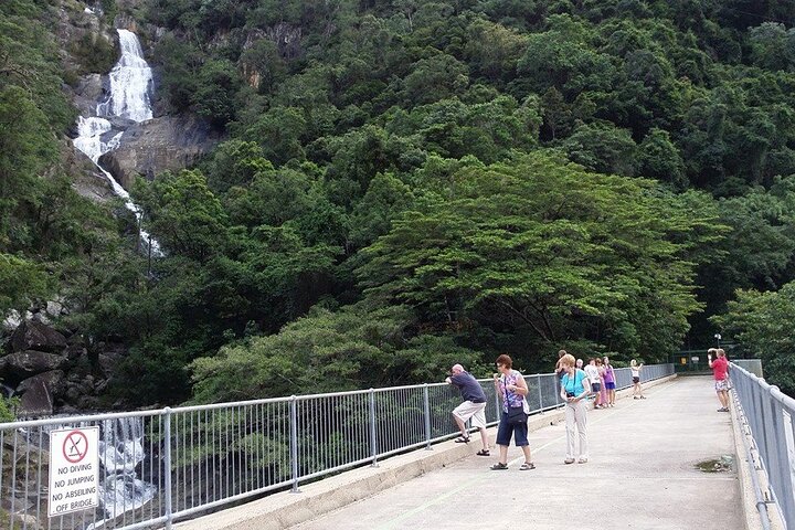 Cairns Combo: Cairns River Cruise & Small group Cairns City Sights