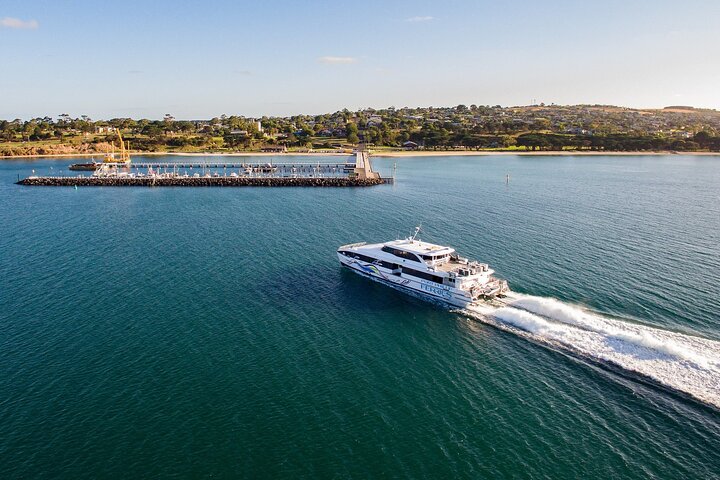 Hop On Hop Off Bellarine - BLUE Route - Docklands Ferry Departure