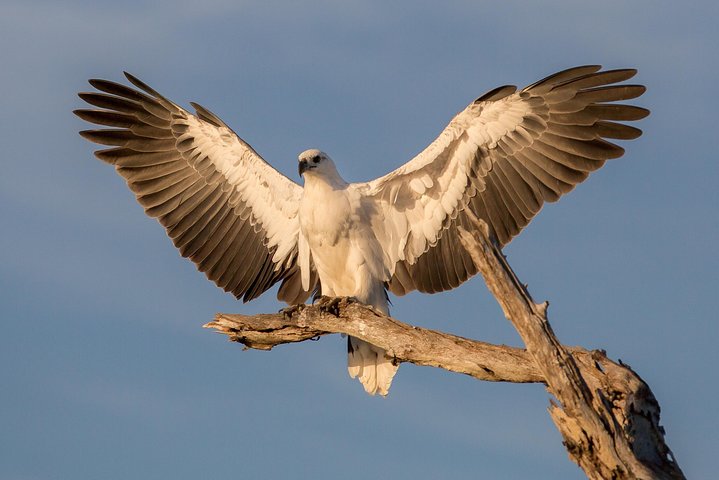 1 Day Corroboree Billabong Wetland Experience including 2.5 hour cruise + lunch