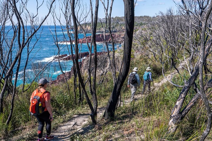 Light to Light Walking and Kayaking Tour, 2 nights