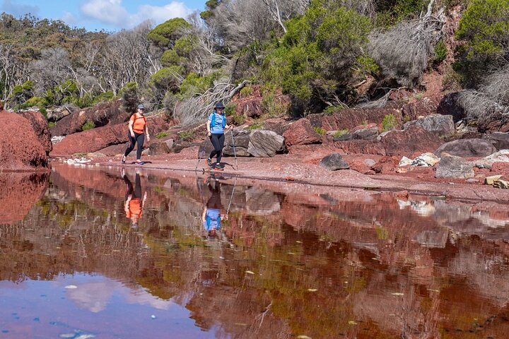 Light to Light Walking and Kayaking Tour, 2 nights