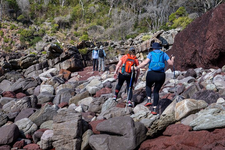 Light to Light Walking and Kayaking Tour, 2 nights