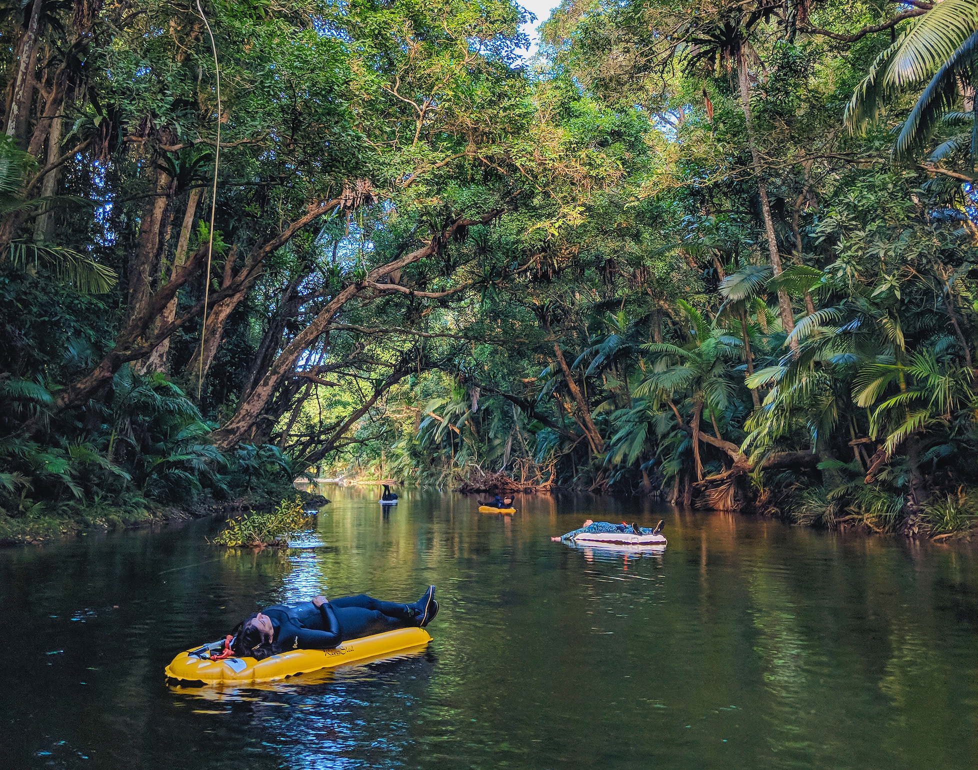 Mossman Gorge Adventure Day with River Drift Snorkelling