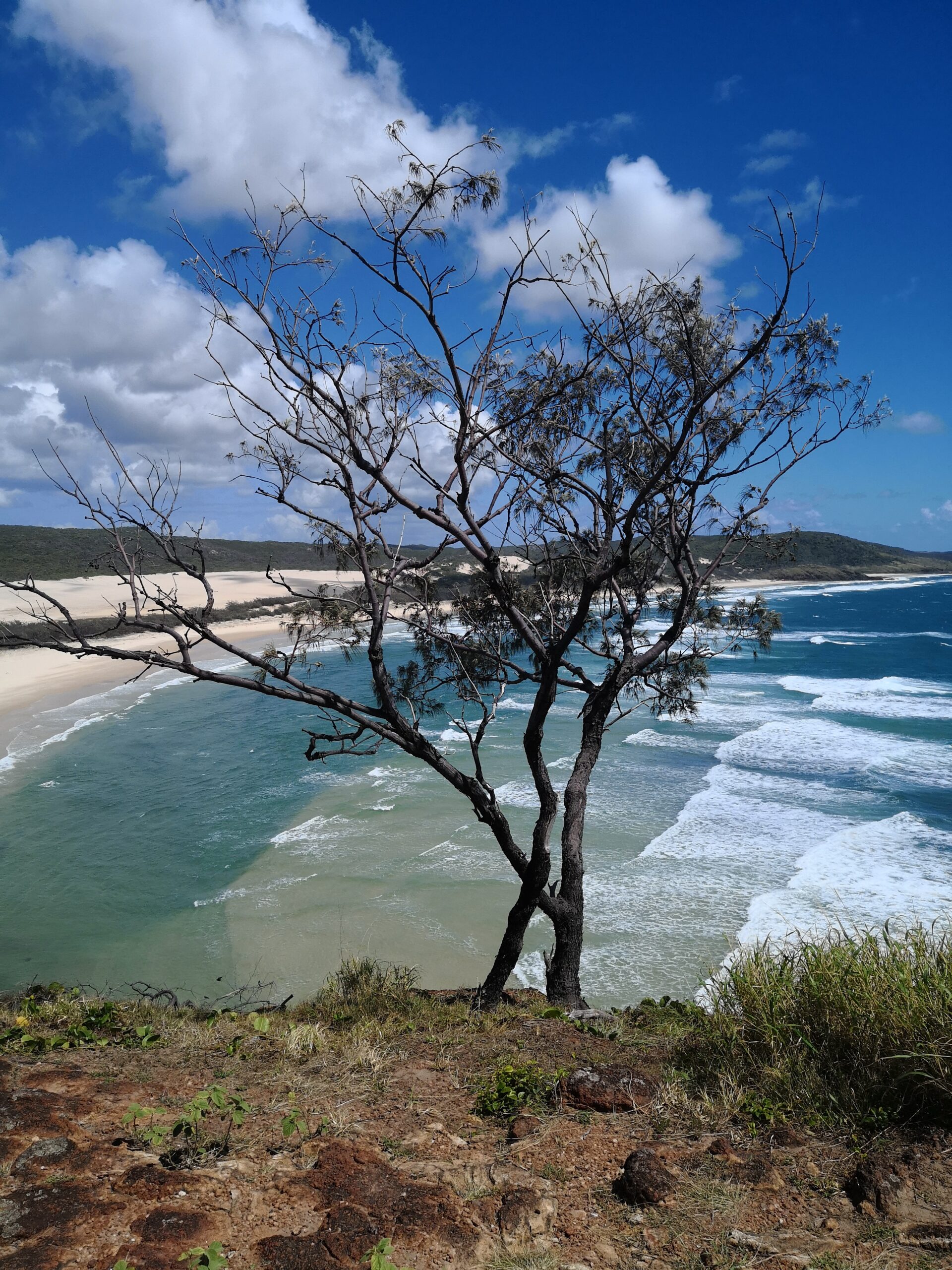 Fraser Island 5 Day Great Walk Adventure tour