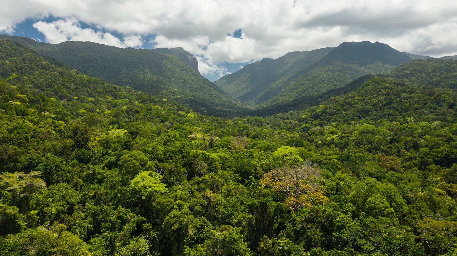 Mossman Gorge Adventure Day