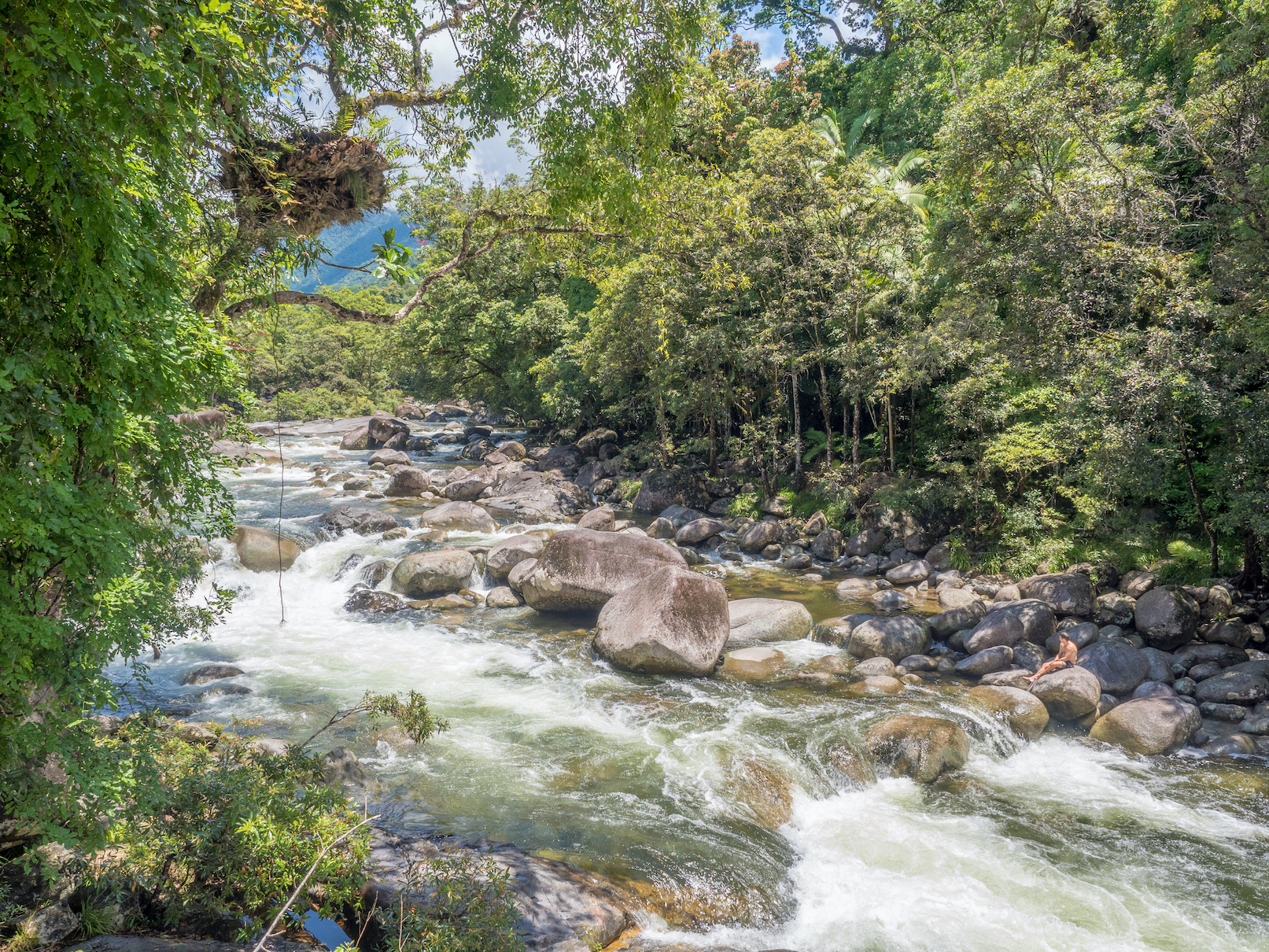 Mossman Gorge Adventure Day with River Drift Snorkelling