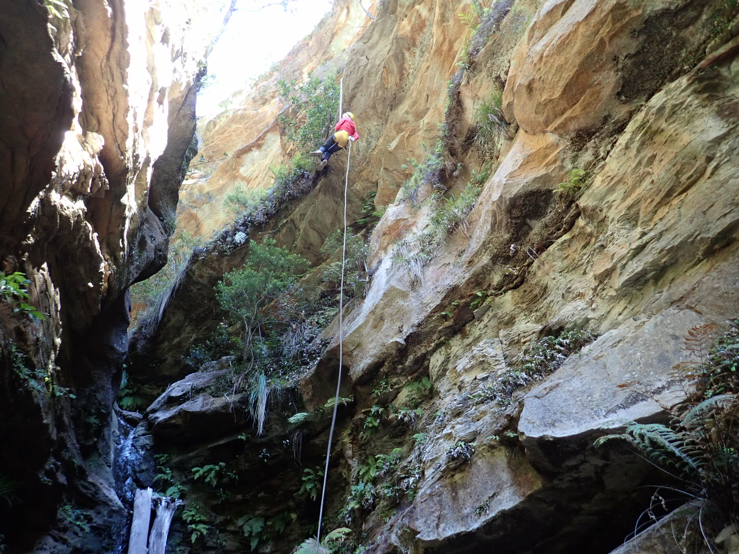 Beautiful Juggler Canyon Abseiling and Canyoning Adventure - Blue Mountains