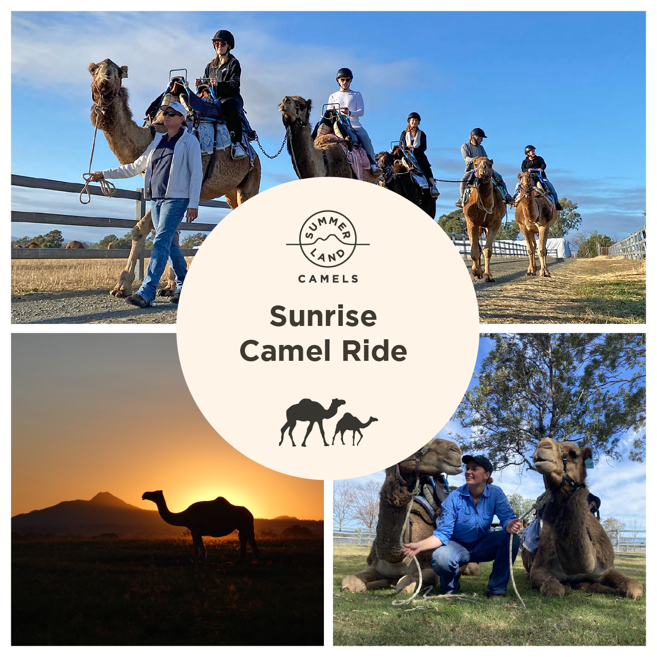 Sunrise Camel Ride