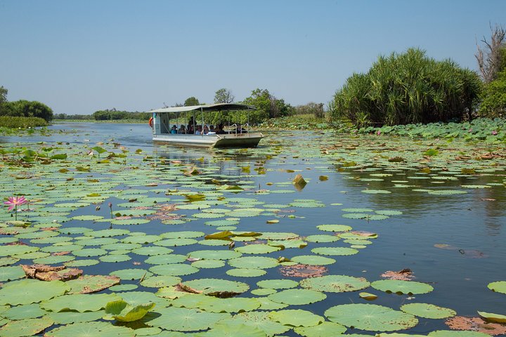 Corroboree Billabong Wetland Cruises - 2 hour Sunset Cruise