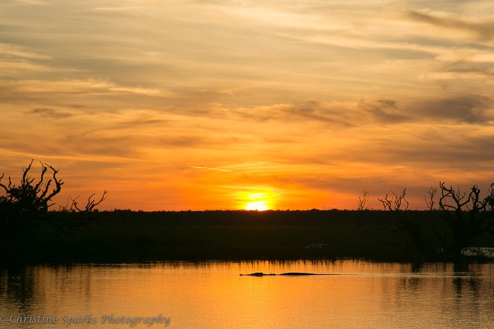 Corroboree Billabong Wetland Cruises - 2 hour Sunset Cruise