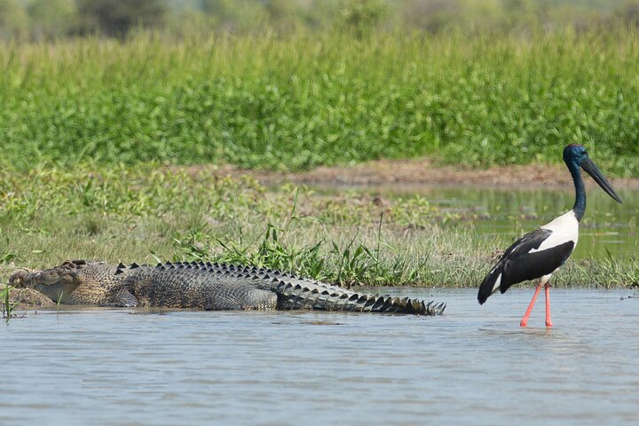 Corroboree Billabong 2.5 hour Lunch Cruise