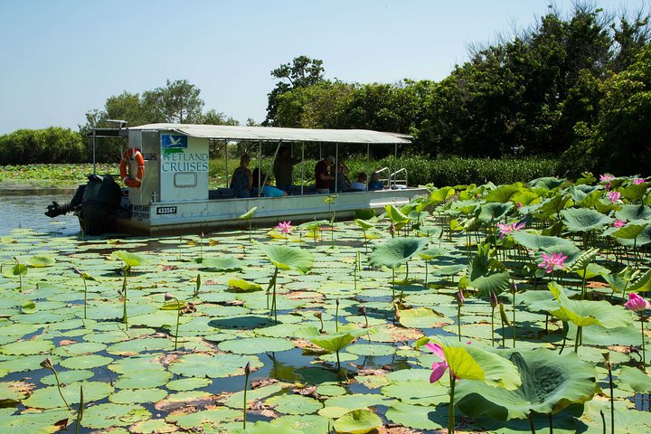 Corroboree Billabong Wetland Cruises - 1.5 hour Morning cruise