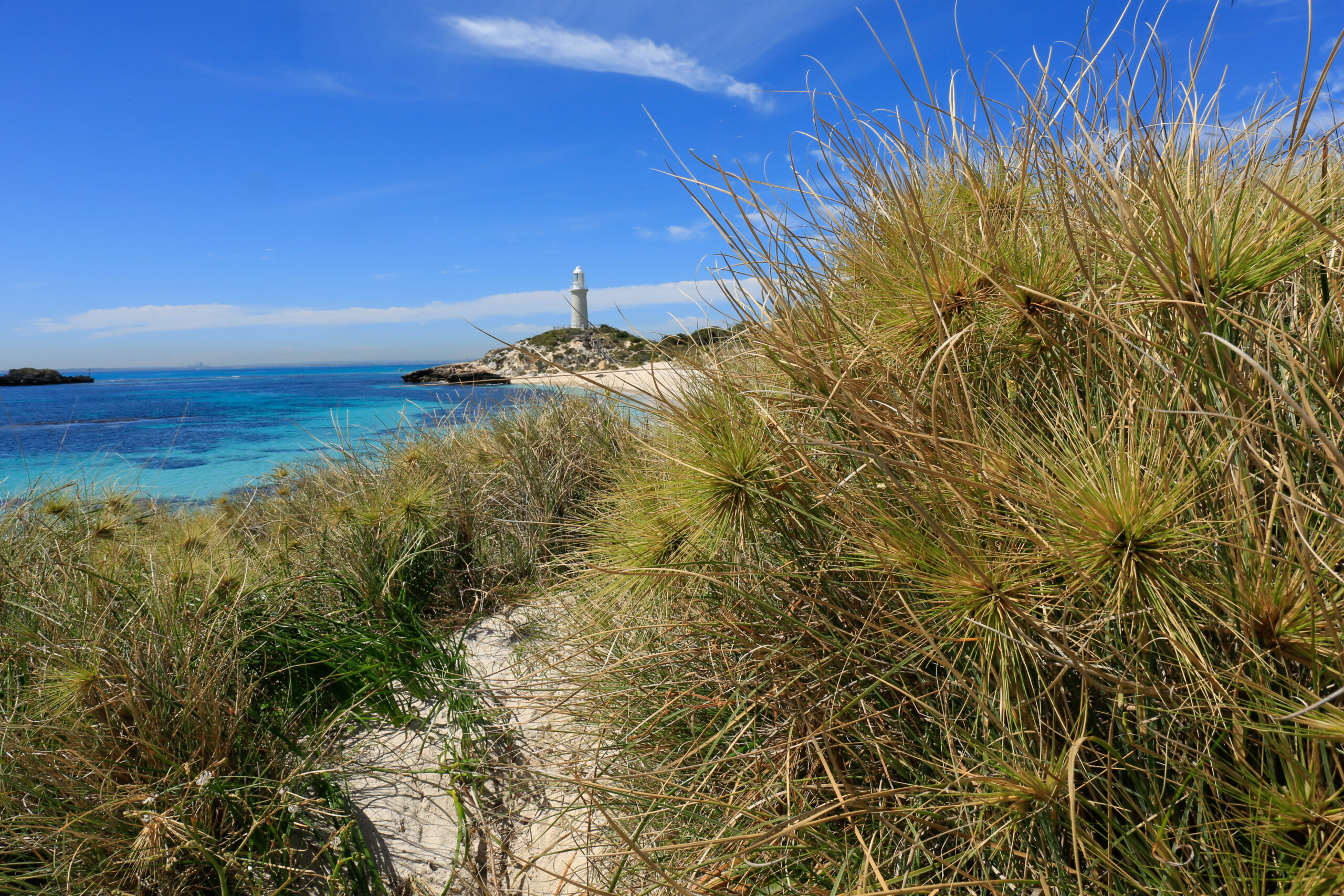 Private Rottnest Photographic Day Tour with Ferry