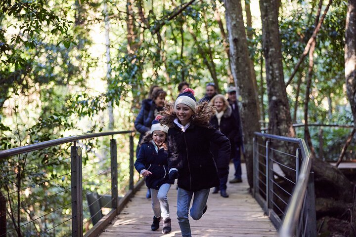 Blue Mountains Small-Group Tour from Sydney with Scenic World,Sydney Zoo & Ferry