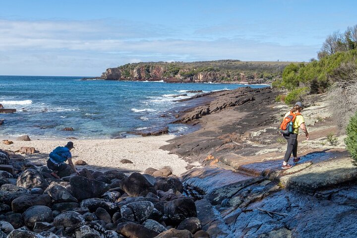 Light to Light Walking and Kayaking Tour, 2 nights