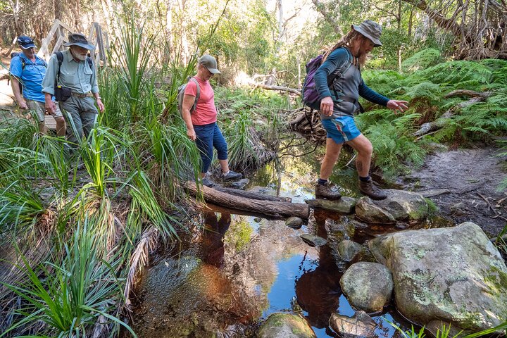 Light to Light Walk, Pack-Free, 2 Nights – Far South Coast NSW