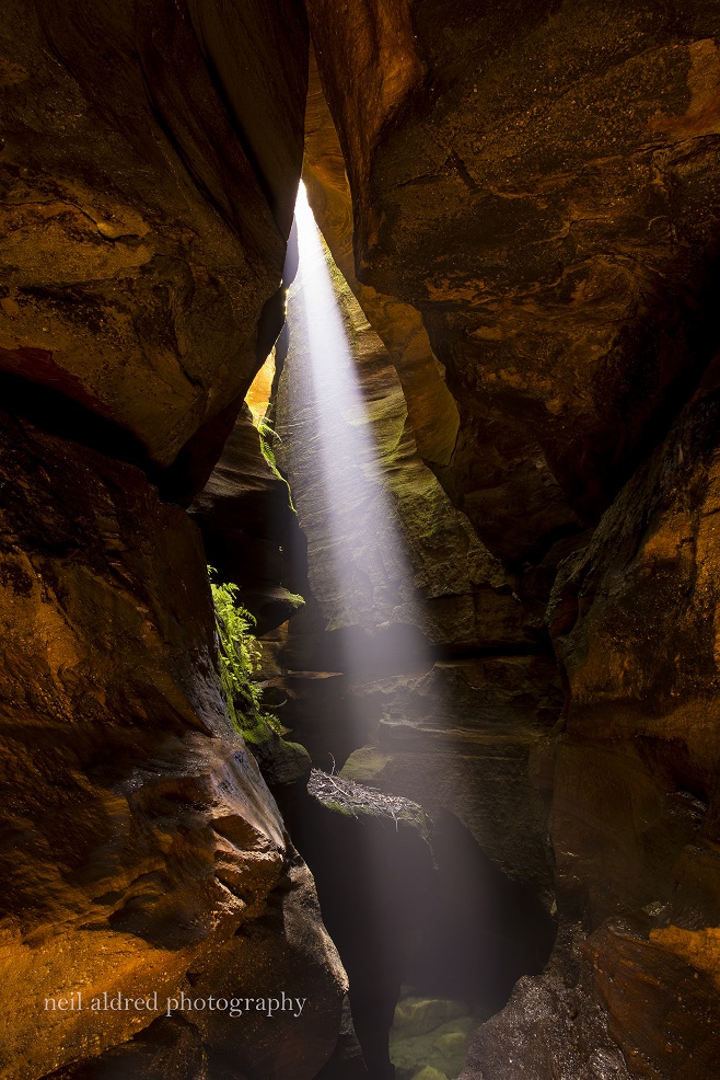 Beautiful Juggler Canyon Abseiling and Canyoning Adventure - Blue Mountains