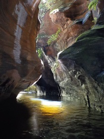 Serendipity Canyon - Blue Mountains