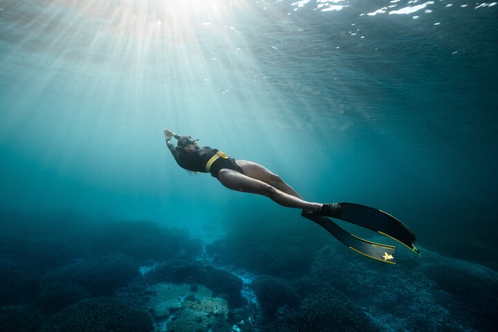 4-Hour Freediving Taster Experience at Bondi Beach