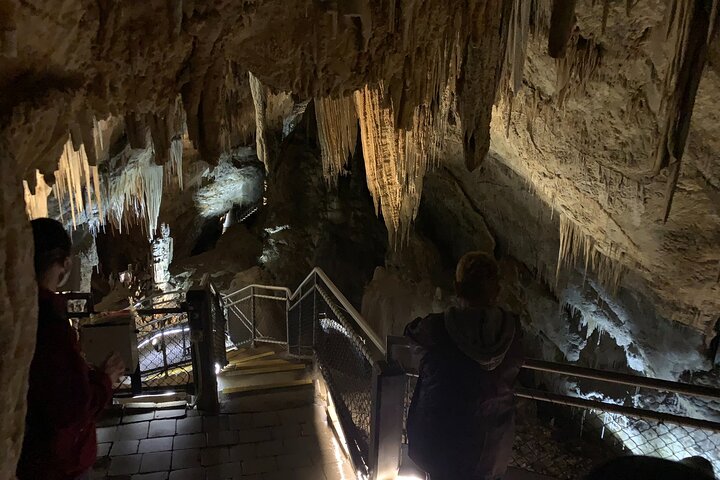 Shared Hastings Caves, Tahune and Huon Valley Tour