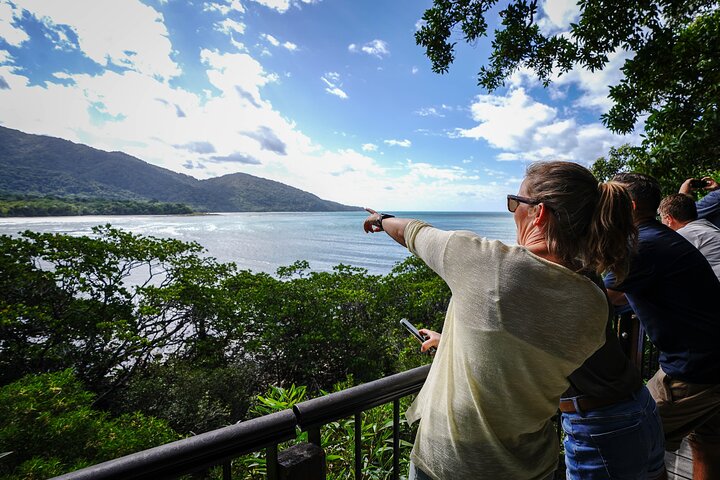 Small Group Full Day Daintree Tour from Port Douglas