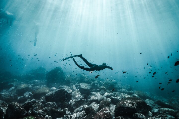 4-Hour Freediving Taster Experience at Bondi Beach