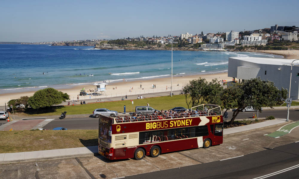 Big Bus Sydney City and Bondi Hop-On Hop-Off Tour