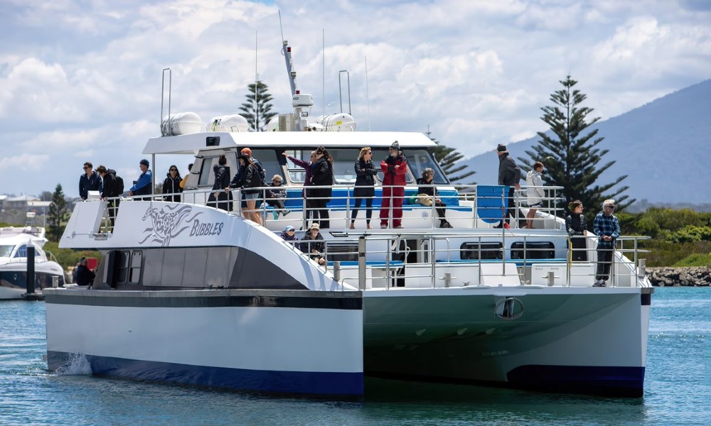 Express Sydney Whale Watch Adventure