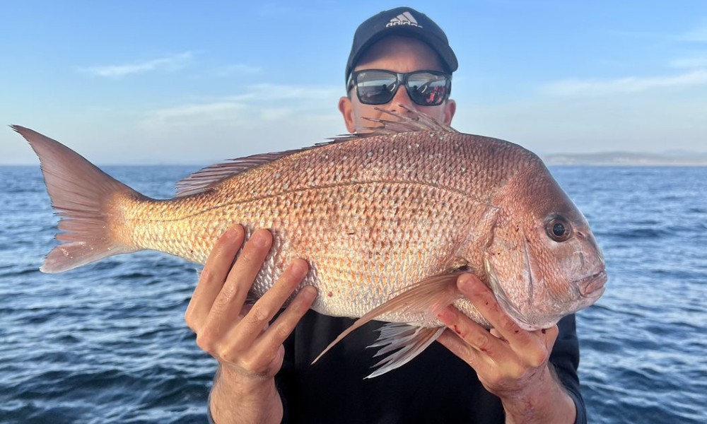 Reef Fishing Charter - 3 Hours