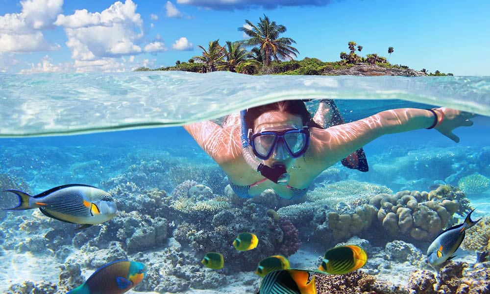 Whitsundays Island Safari with Snorkelling