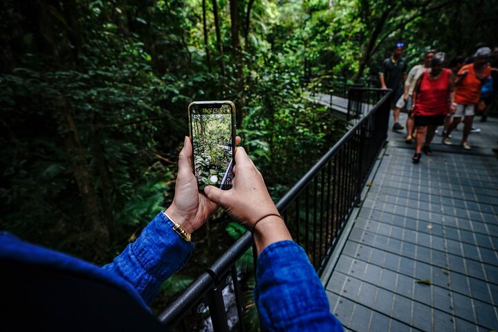 Small Group Full Day Daintree Tour from Port Douglas