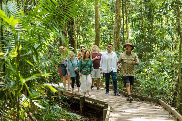 2 Day Great Barrier Reef, Daintree Rainforest and Cape Tribulation