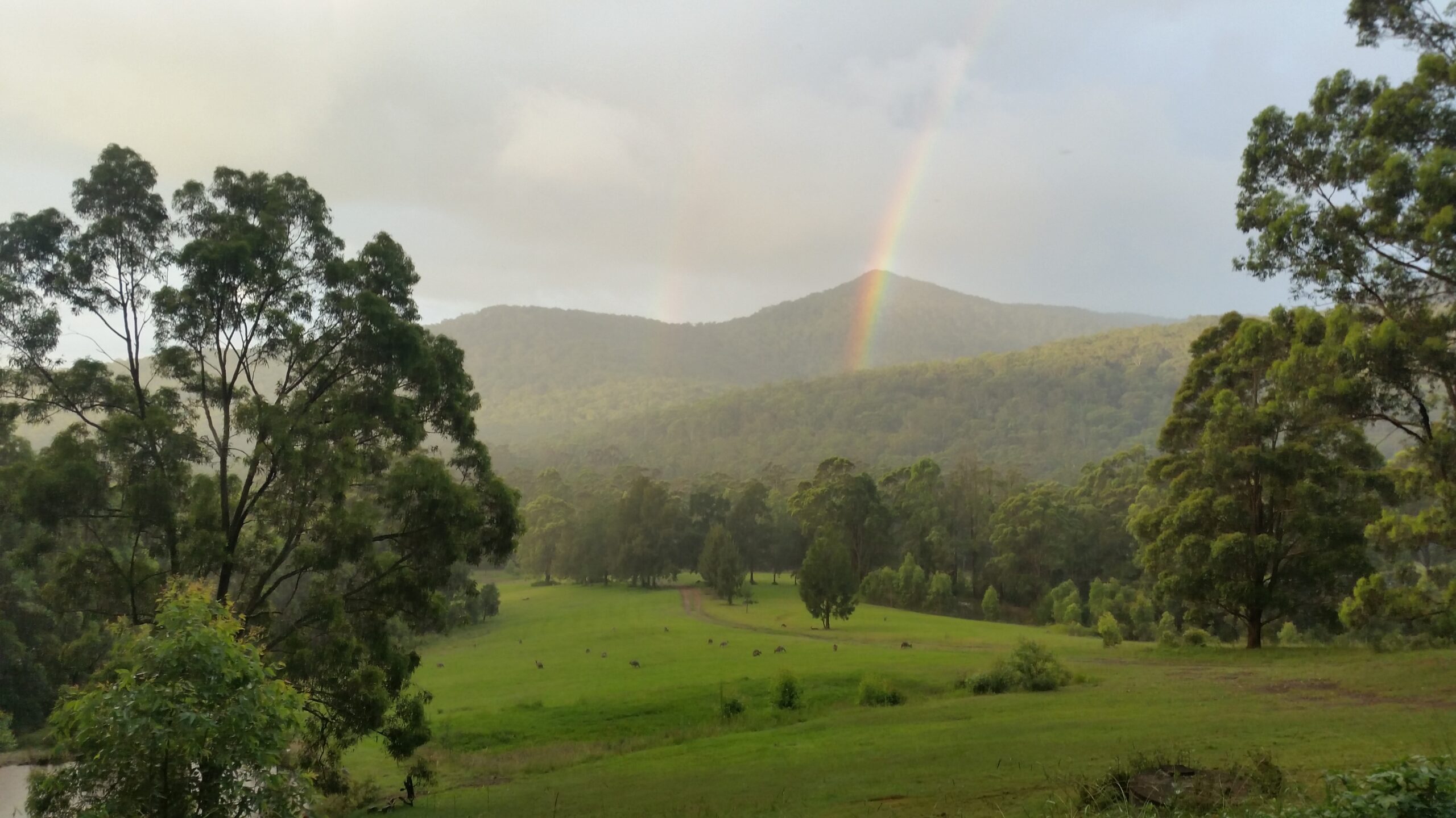 Hunter Valley Wine Wildlife Watagans Wilderness and Railways