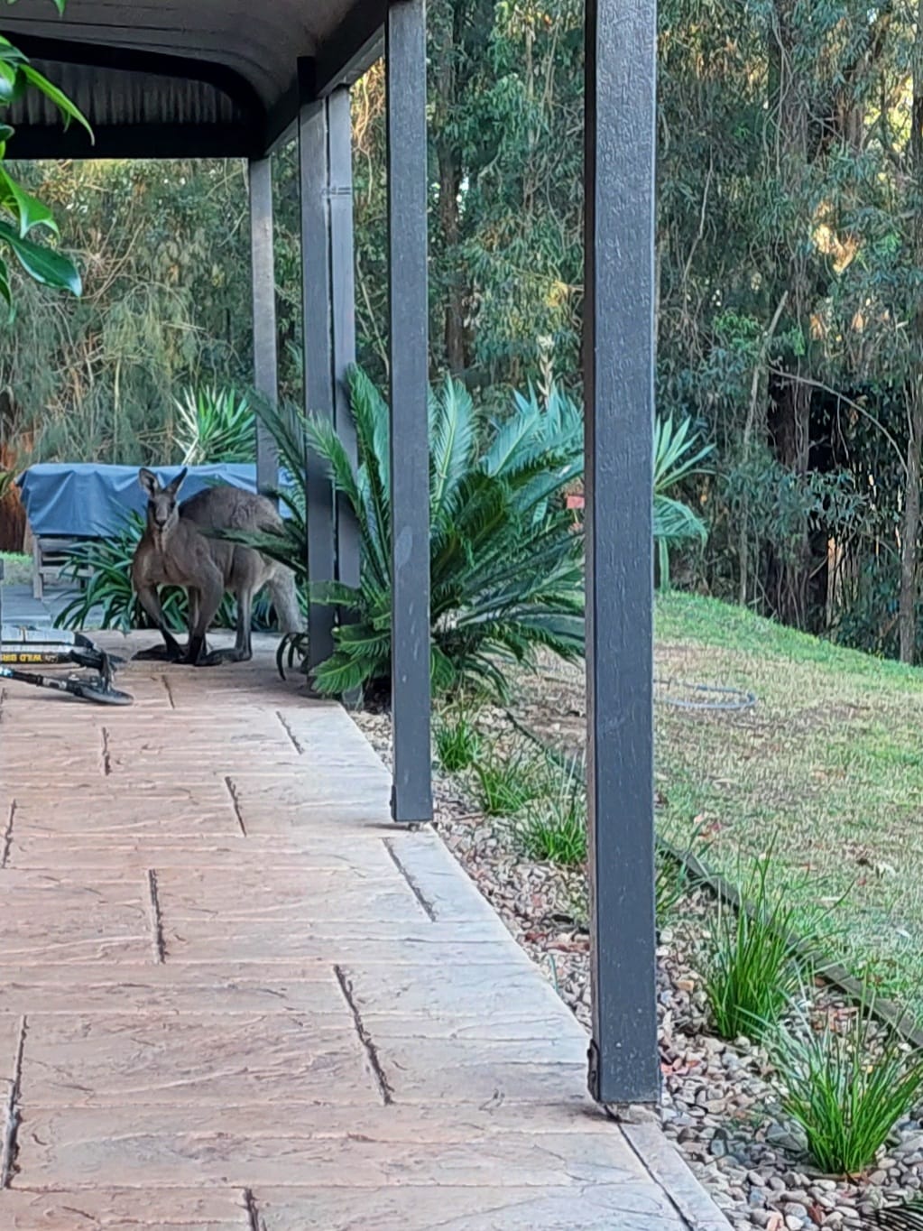 Hunter Valley Wine Wildlife Watagans Wilderness and Railways