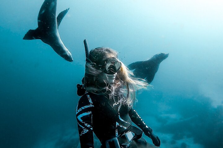 4-Hour Freediving Taster Experience at Bondi Beach