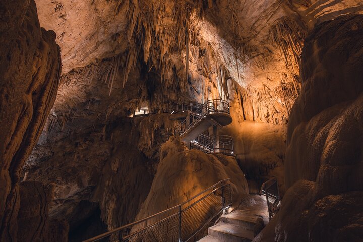 Hastings Caves, Tahune and Huon Valley Full Day Guided Tour