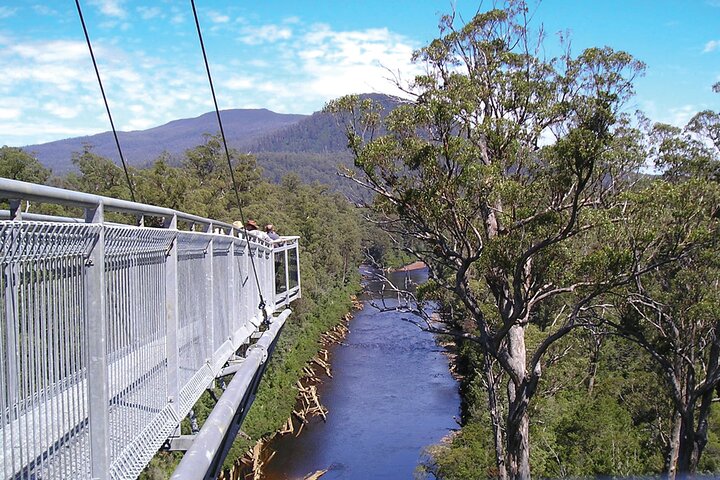 Shared Hastings Caves, Tahune and Huon Valley Tour