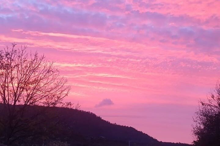 Big Day Out from Hobart to Cradle Mountain